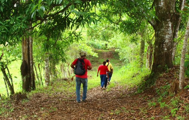La caminata para llegar al sendero toma de 30 a 45 minutos. / José Manuel Adames La impresionante cascada El Bermejo del parque Santa Fe