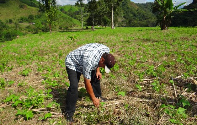 Los productores denunciaron una competencia desleal. / Archivo Gobierno pierde el control del alto costo de alimentos