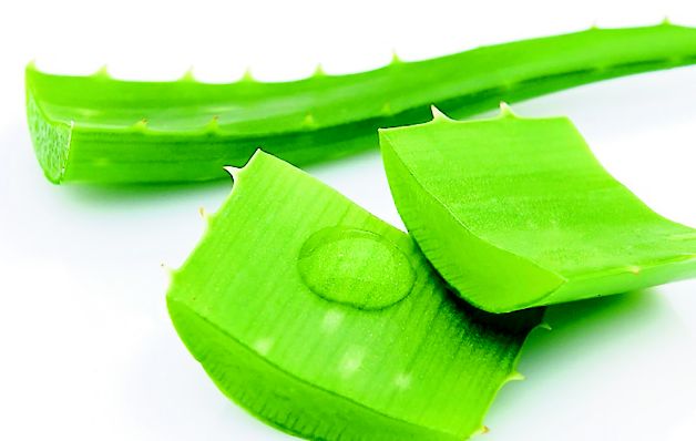 El aloe vera es un remedio natural para combatir las imperfecciones en la piel.