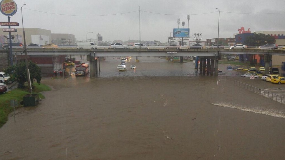 La Domingo Díaz quedó inhabilitada por más de dos horas/Foto: Cortesía.