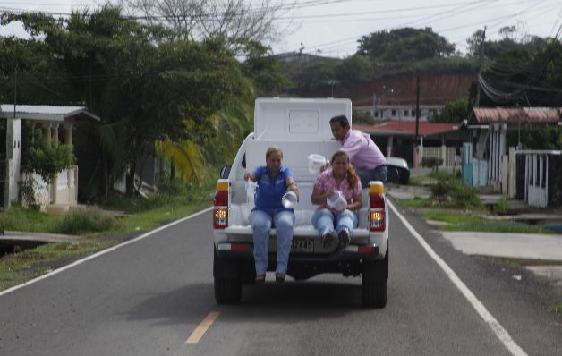  Proyecto de mosquito transgénico no arrancó 