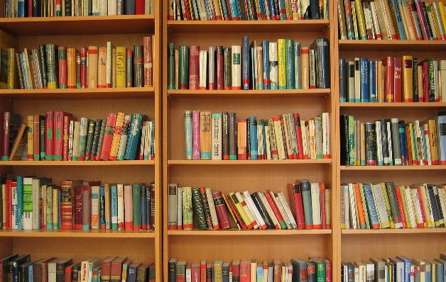 Se trata sobre todo de libros clásicos y cuyos derechos ya han caducado y son de libre distribución. Muchos de ellos son de autores españoles. Diseños para evitar que la humanidad se vuelva una masa de hedonistas
