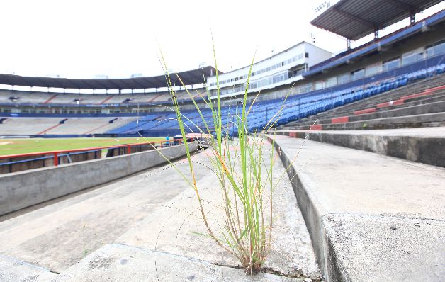 Hierba en las gradas: En las tribunas del estadio Rod Carew se puede observar el crecimiento de malezas, las cuales aprovechan las grietas en el piso para desarrollarse.
