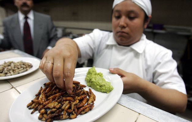     Carne de laboratorio e insectos, dieta europea 