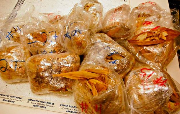 Confiscan 450 tamales  