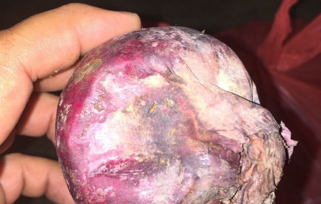 Varios alimentos son decomisados por no ser aptos para el consumo humano