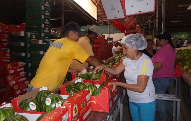 Baja dinamismo en actividades económicas 2015