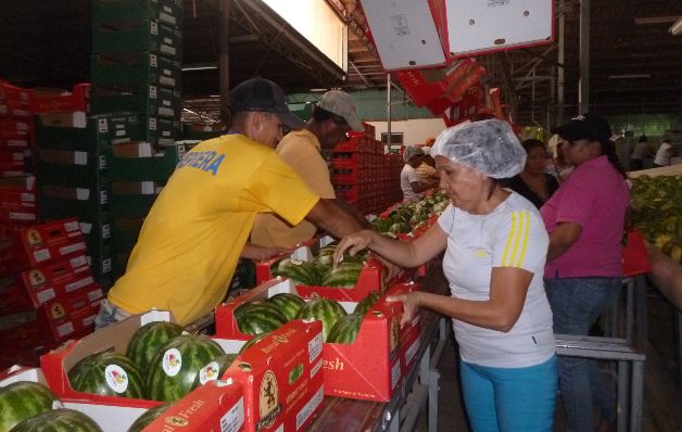     Baja dinamismo en  actividades  económicas 2015   