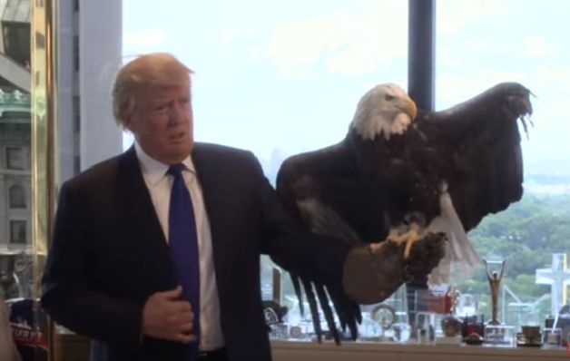 Momentos en que Donald Trump posa con el Águila Calva.