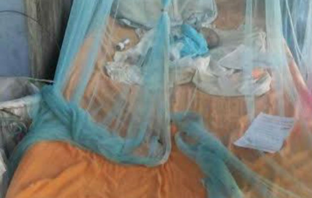 Foto/Policía Nacional Foto/Policía Nacional