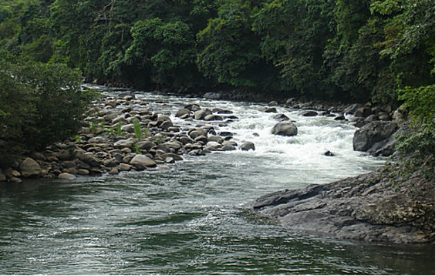 Agua de río Chiriquí no es recomendable para culecos, asegura Minsa ...