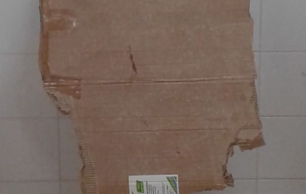 Otros problemas acompañan a la inseguridad en el HSMA 