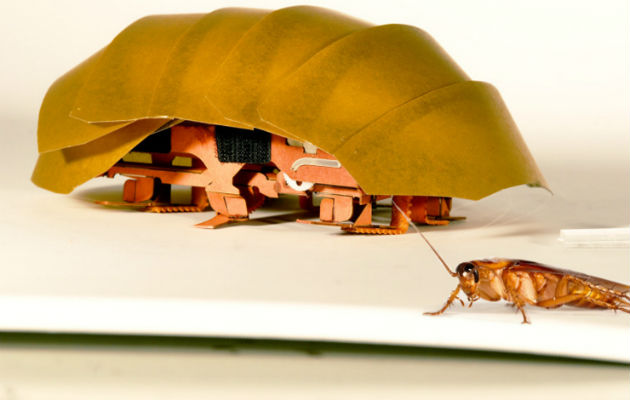 Tiene como 20 veces el tamaño de un cucaracha de verdad. Foto/ AP