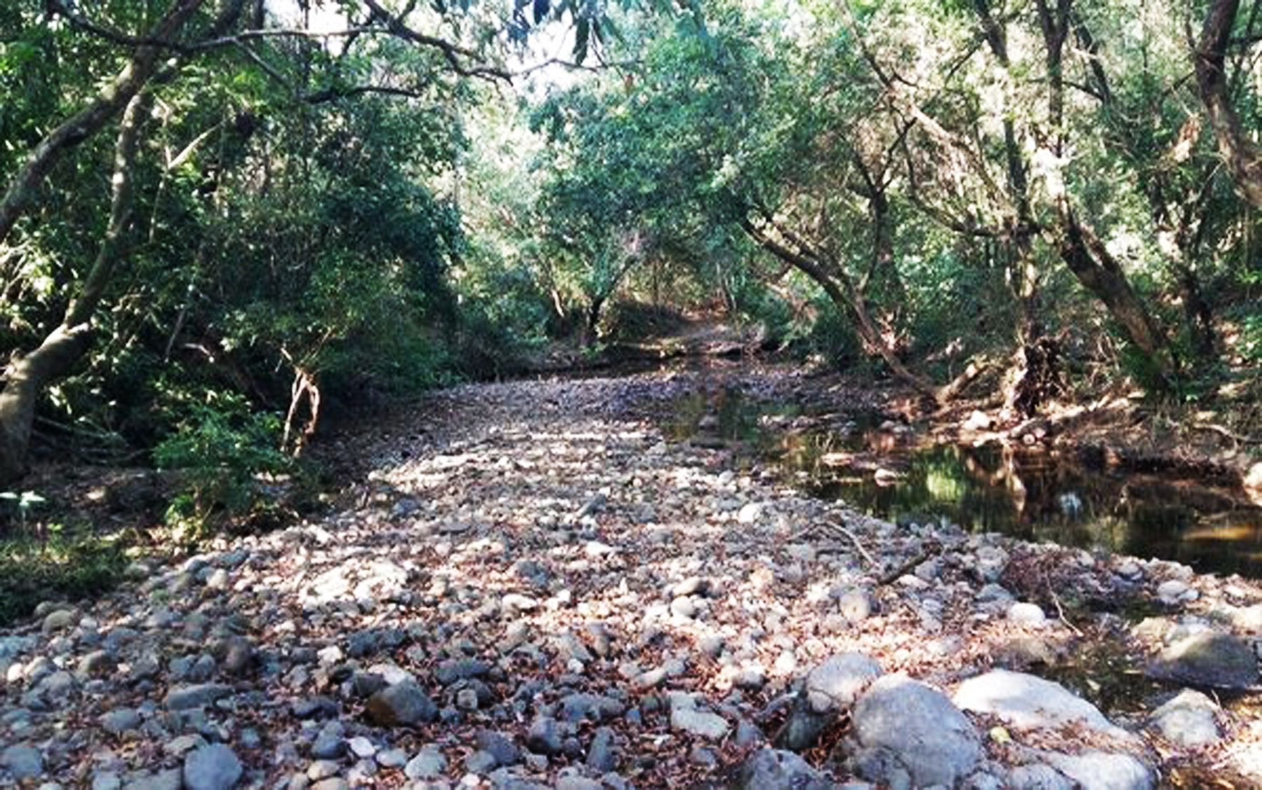  Toma de agua para fiestas pasa factura a los ríos  