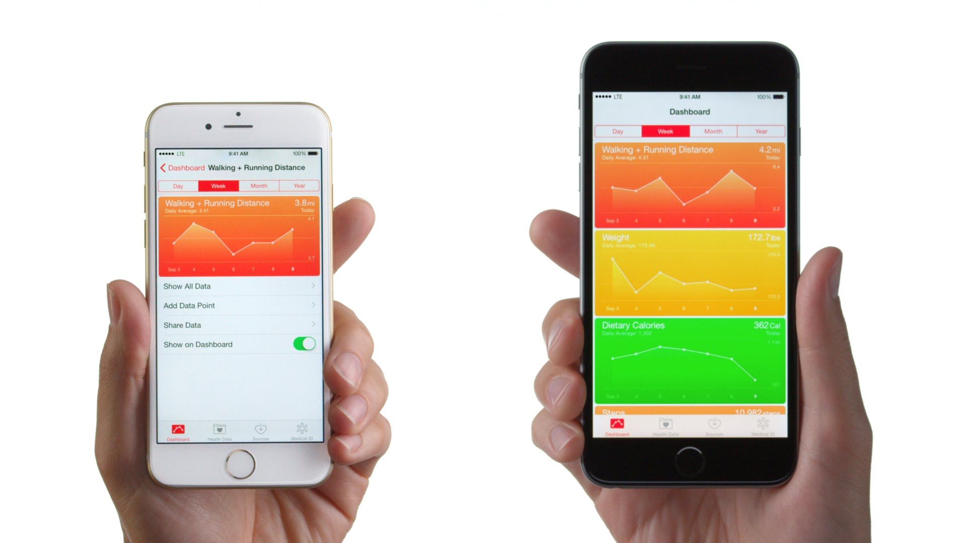 Gracias a ella el smartphone hará un seguimiento de los pasos dados, las calorías consumidas. La aplicación viene instalada de raíz, solo debes ubicarla. El futuro de la tecnología luce como una chica bella y joven, capaz de amar