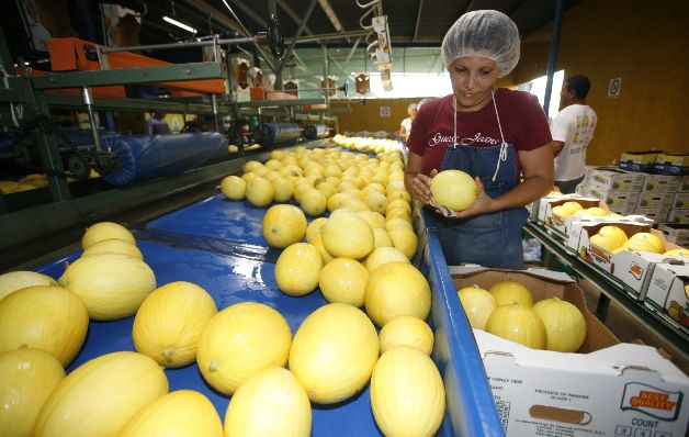 Sectores económicos reclaman políticas estatales que hagan competitiva la producción. / Archivo