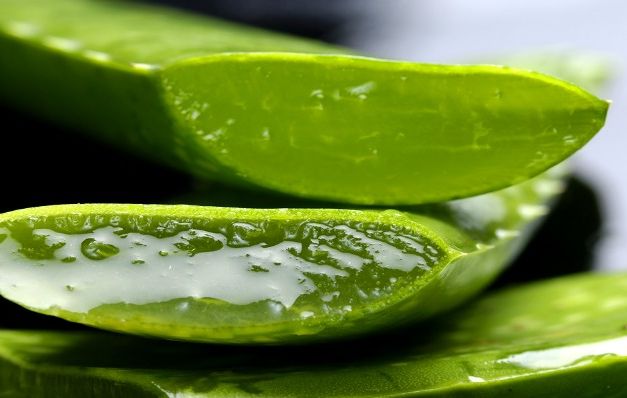 Es capaz de reducir los niveles de glucosa en la sangre. 