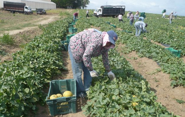Para la sede en Roma Italia se solicitan varios oficiales entre estos en agronomía/Archivo.