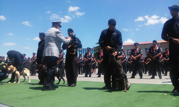Hasta los perros de la Policía recibieron medallas de reconocimiento 