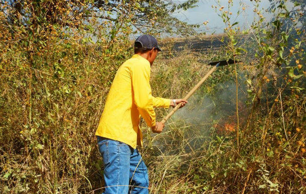 Van 102 incendios forestales.