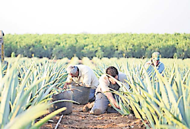 Países ya aplican regulaciones sobre químicos