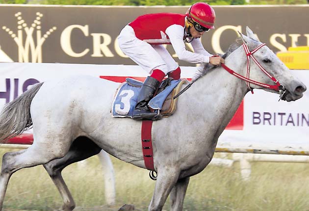 Ambos caballos están inscritos en el clásico Junta de Control de Juego del domingo entrante, por lo que la Comisión Nacional de Carreras debe decir hoy si se les retira de la competencia.