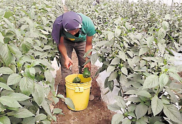 A pesar de las críticas, Gobierno defiende la medida