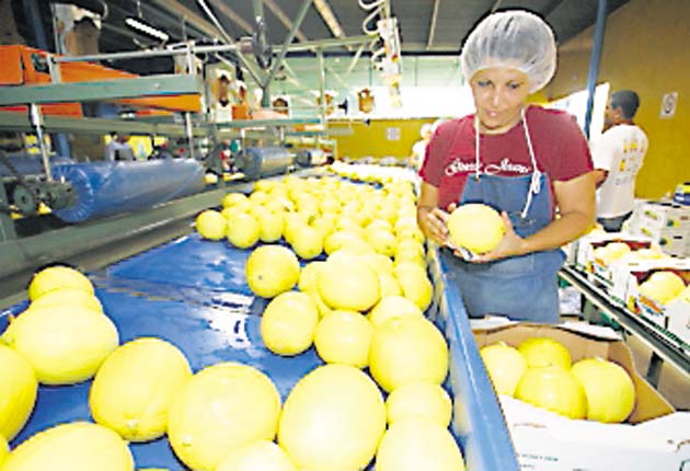 Panamá necesita competir con grandes exportadores de A. Latina