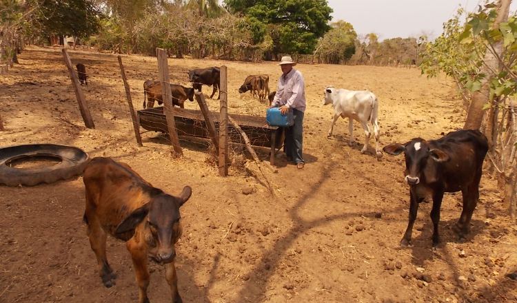 Panamá exporta diversos productos. /Foto Archivo