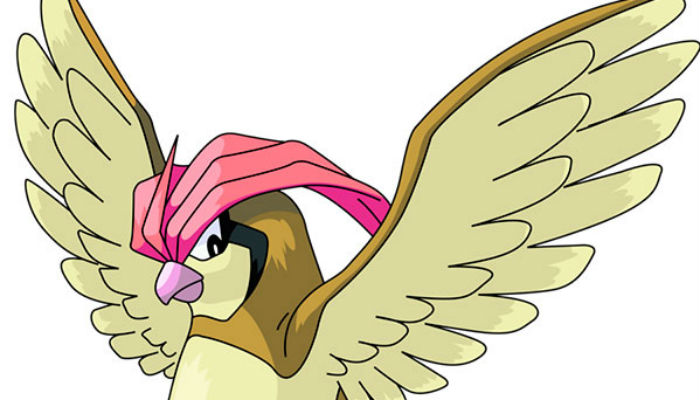 Pidgeotto