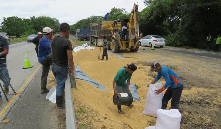 Ardua faena para recoger el arroz tirado en la Interamericana. /Foto Elena Valdez