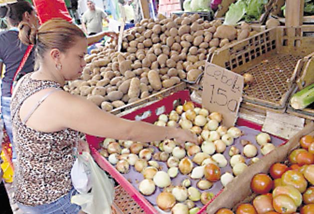 Productores presentan plan que busca aumentar la producción