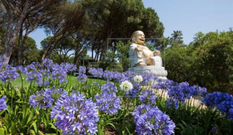 Budas y naturaleza están en armonía en el hermoso parque. /Foto EFE