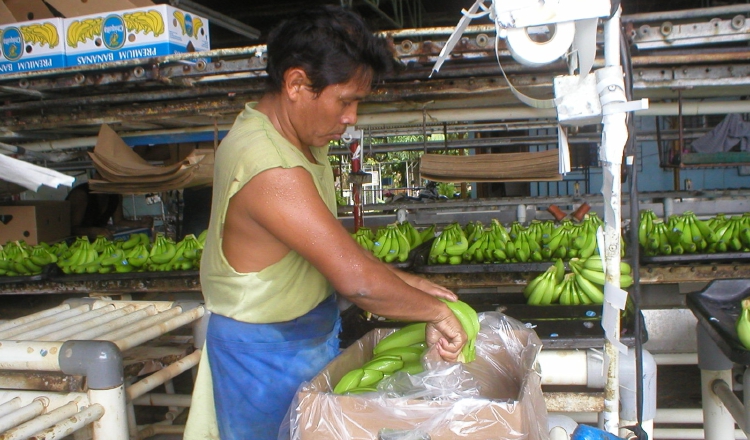 Las grandes potencias del mundo pretenden que no existan  aranceles de importación, lo que no tiene sentido, según expertos. /Foto Archivo