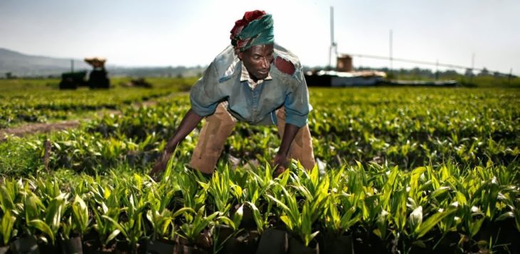 alimentos de africa la importaci 243 n de alimentos en 193 frica da 241 a su econom 237 a alimentos de africa la importaci 243 n de alimentos en 193 frica da 241 a su econom 237 a