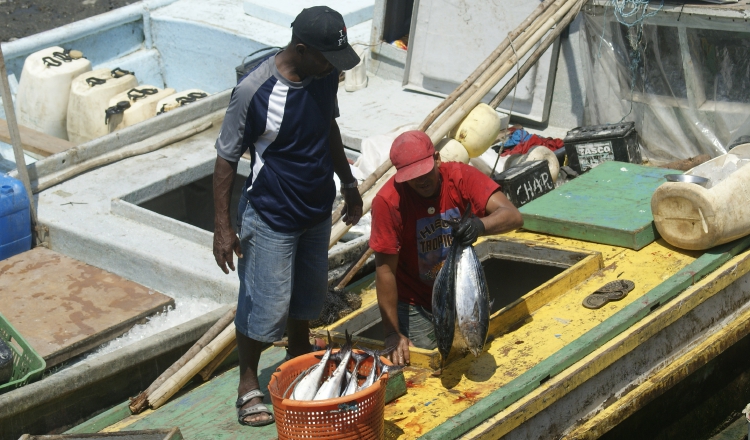 Aseguran que el tratado es positivo para los productos del mar. /Foto Archivo