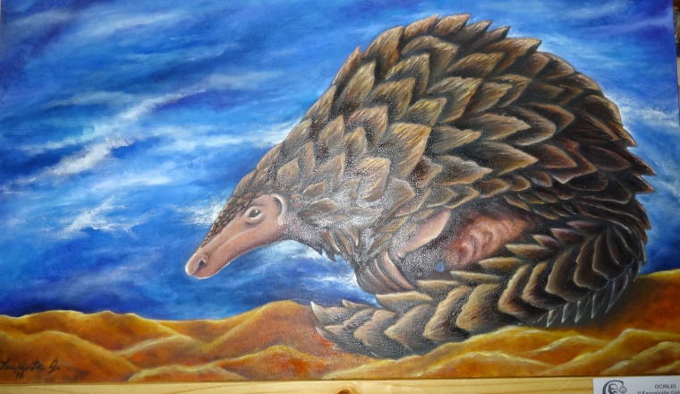 "Pangolín, un guerrero acorazado", de Laurents Gordón.