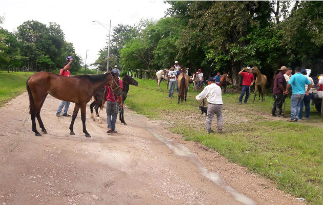 Foto: Elena Valdez.