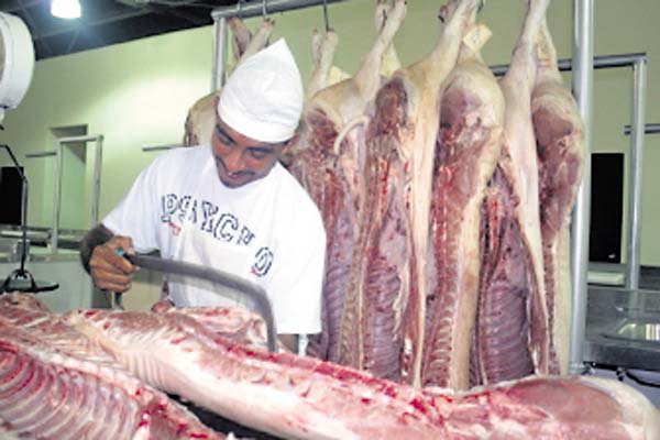 Porcicultores, dispuestos a bajar el precio de la carne a consumidores