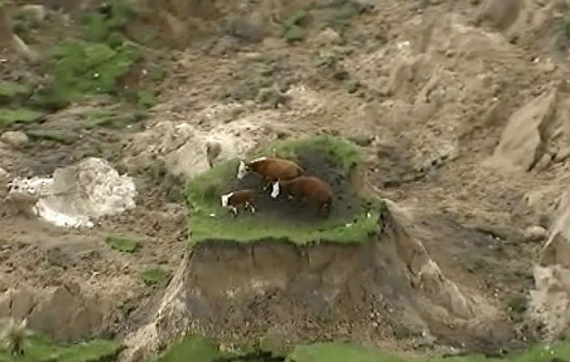 Quedaron en una isla de hierba. Foto/ AP
