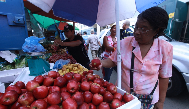 Comer frutas y vegetales es bueno para la salud de los panameños, porque ellos brindan nutrientes específicos que protegen al cuerpo de muchas enfermedades crónicas que hoy día padecen. Comer frutas y vegetales es bueno para la salud de los panameños, porque ellos brindan nutrientes específicos que protegen al cuerpo de muchas enfermedades crónicas que hoy día padecen. /Foto Archivo