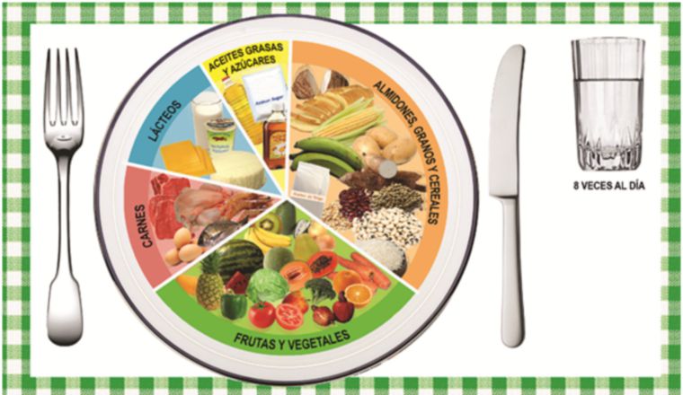 Recomendaciones: Dentro de las recomendaciones generales de la alimentación están tomar ocho vasos de agua al día, disminuir el consumo de alimentos grasosos, tratar de consumir una variedad de vegetales, legumbres y frutas porque ellos brindan nutrientes.