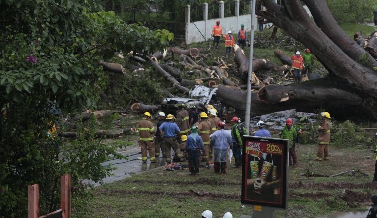 Un menor de nueve años murió aplastado por un enorme árbol que cayó sobre el vehículo donde se encontraba, en el sector de Corozal, cerca de la escuela San Vicente de Paul. 