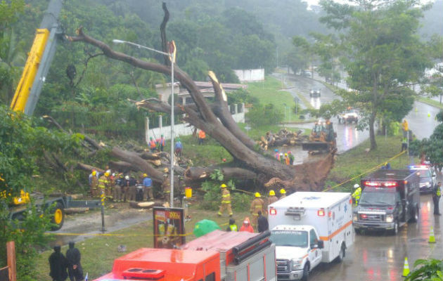 El día de la tragedia que llena de luto y dolor a un hogar.  