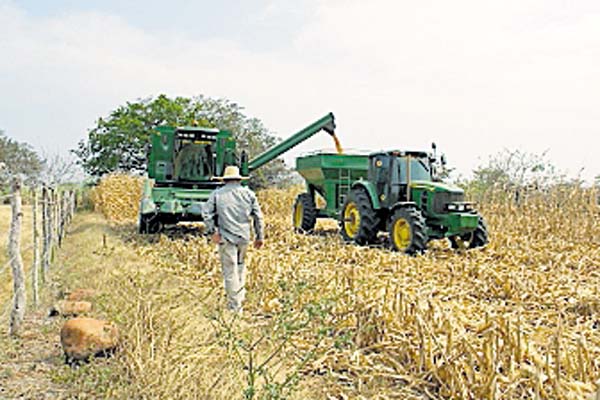 Productores dicen luchar por mantener la soberanía alimentaria