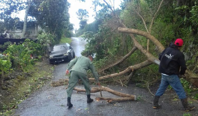 Fuerte viento causa preocupación entre los residentes del área. /Foto José Vásquez
