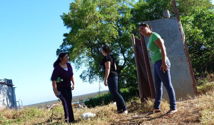 Denuncian que animales habían sido abandonados. Thays Domínguez