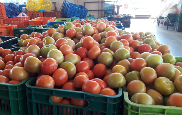 Venta de tomates en el Mercado de Abastos en David. Foto: José Vásquez.