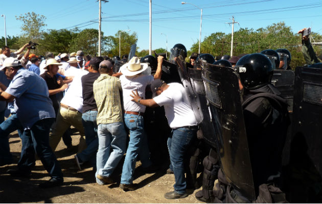 [Mira la galería]