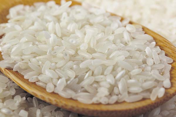 El Gobierno les debe a los productores $7.50 por cada quintal de arroz vendido a los molinos. /Foto Archivo